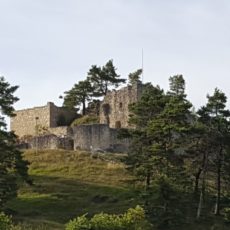 Burgruine Lichtenegg