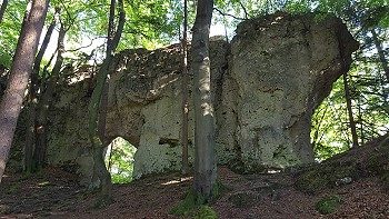 Türkenfesen beim Orchideen Wanderweg