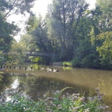 Radweg Pegnitzauen Nürnberg