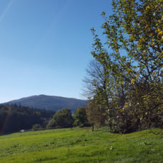 Radtour Großviehberg Sittenbachtal