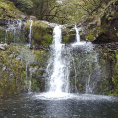 Madeira Wanderung Ribeiro Frio