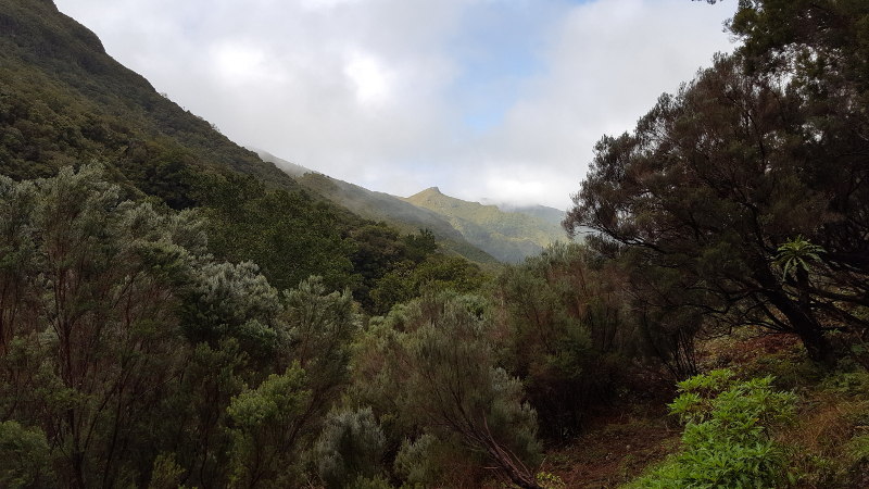 Madeira Levadawanderung 25 Fontes