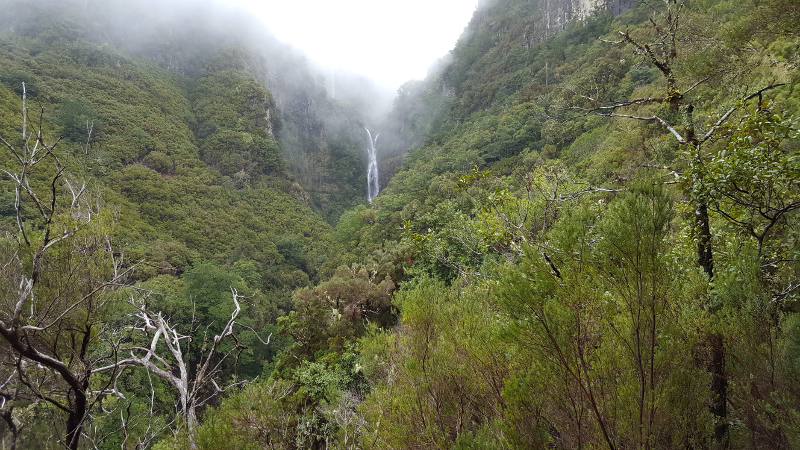 Madeira, Wasserfall bei Levadawanderung 25 Fontes