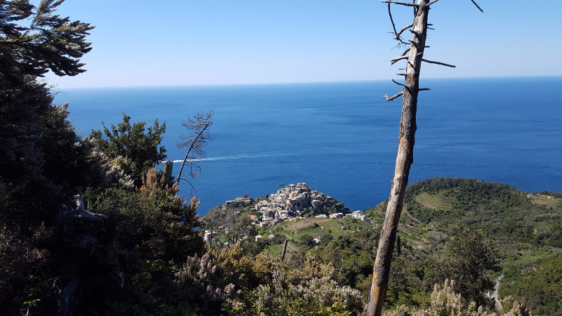 Aussicht auf Corniglia Cinque Terre
