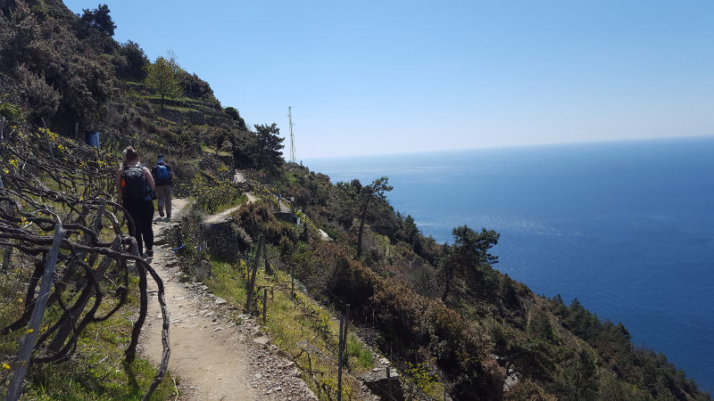 Wanderweg nach Manarola in der Cinque Terre