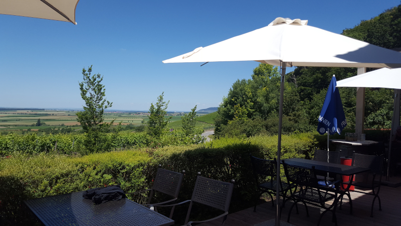 Aussicht von Weinparadiesscheune Bullenheim