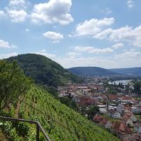 Mainradweg von Miltenberg bis Aschaffenburg - Blick hinab ins Maintal bei Klingenberg