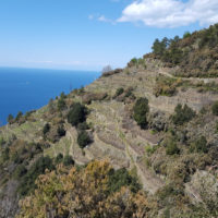 Wanderweg Corniglia nach Manarola Cinque Terre