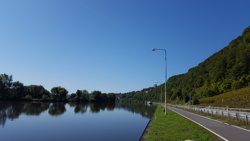 Neckartalradweg von Bad Wimpfen nach Mosbach, bei Gundelsheim