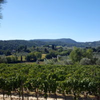 Radtour in den Weinbergen von Montepulciano