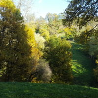 Naturschutzgebiet Oberes Molsberger Tal
