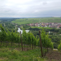 Mainschleifentour - Blick von der Vogelsburg auf Nordheim