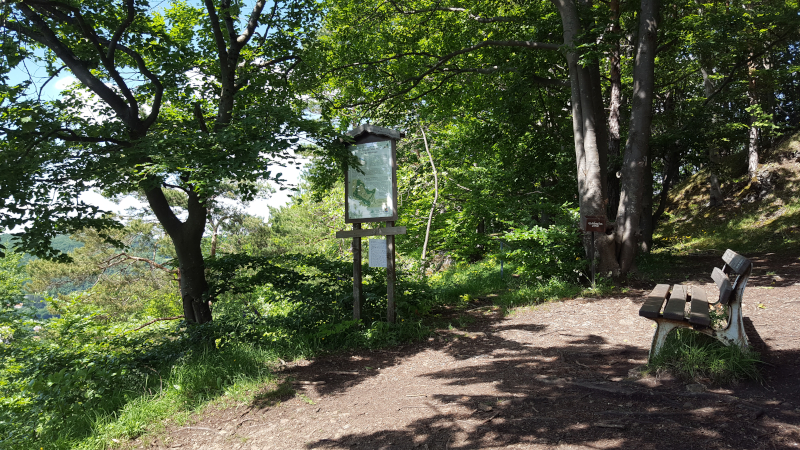 Auf der Mühlkoppe bei Pommelsbrunn