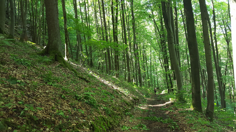 Wandertour zur Mühlkoppe